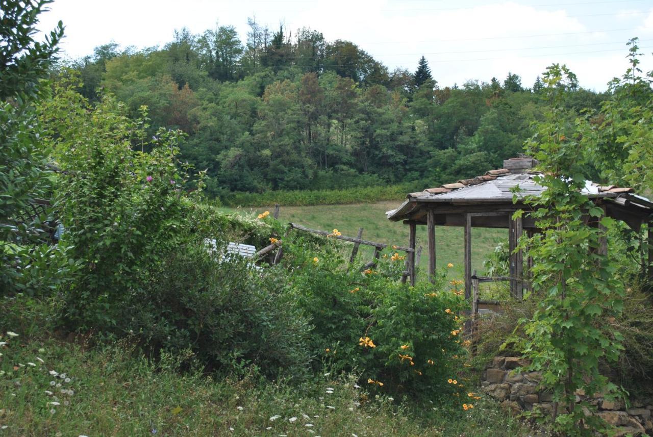 Agriturismo Petrarosa Neviano degli Arduini 外观 照片